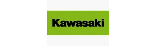 Kawasaki